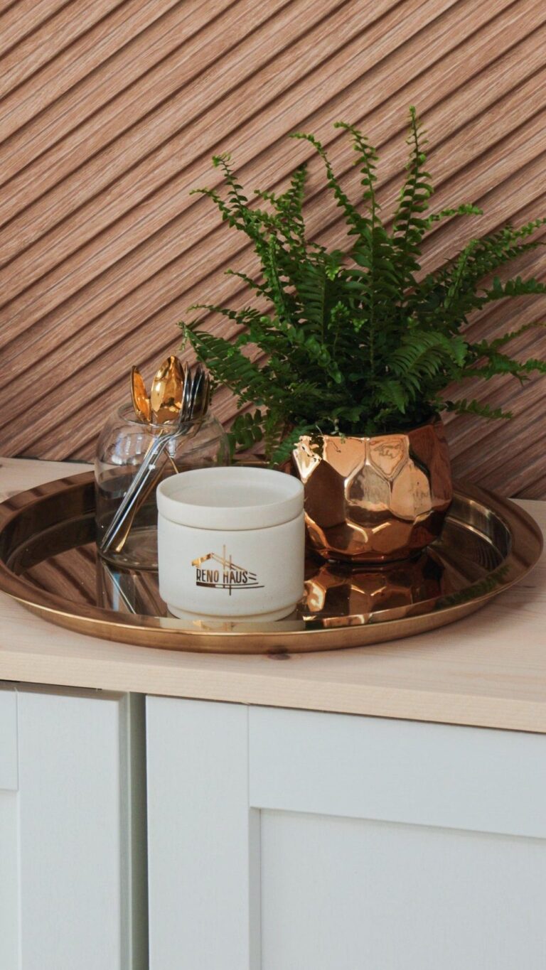 Casa din Pleașa — barul de cafea după renovare | Reno Haus